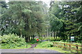 Entrance to Templeton Woods in DD2 5QZ