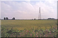 Crop field and pylon in PE14 7BA