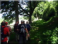 Llwybr Ty Glyn Aeron Footpath in SA48 8BY