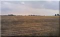 Farmland near Padgett's Farm in PE14 9NL