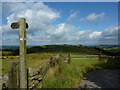 Footpath sign on Gritstone Trail in SK11 0AN