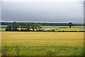 Fields at Kinpurney, Newtyle in PH12 8SG