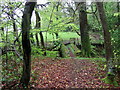 Footbridge near Cottesmore in SA62 4BU