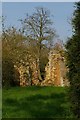 Ruins of Virley Church in CM9 8HJ