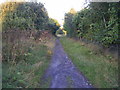 Bowes Railway Path in NE11 0JB