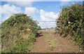 Steep field access - Whitebear in EX22 7NY