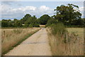 Path between Paradise Farm and Holt Lodge Farm in BH21 7LB