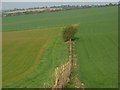 Farmland near Marlborough in SN8 1PS