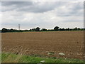 Another flat field, another pylon in OX29 6XQ