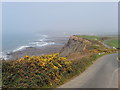 Road and gorse, Penhalt Cliff in EX23 0YW