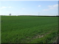 Crop field off the B6417 in S44 6AU