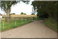 Track to Upper Mannington Farm in BH21 7JT