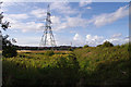 Pylon and rough ground, Heysham Moss in LA3 2FT