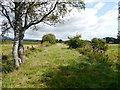 Trackbed Near Wester Mye in FK8 3NE