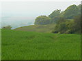 Farmland and combe north-west of Compton Bassett, Wiltshire in SN11 8RQ