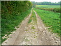 Bridleway near Compton Bassett in SN11 8SW