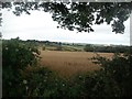 Stainsby Common viewed from Branch Lane in S44 5RL