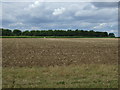 Field near Wennington in PE28 2LU