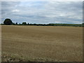 Stubble field, Upwood in PE26 2PH