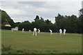 View of a cricket match in Matching Green in CM17 0PT