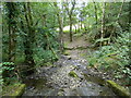 Stream flowing down to the Teifi at Castell Pyr in SA39 9JR