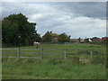 Grazing, Manor Farm in Kings Ripton