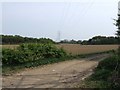 Pylons between Plantations in NR9 5DT