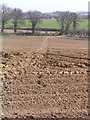 Footpath through ploughed field in NR28 9SY
