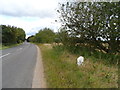 Milestone on B1145 in Stanfield