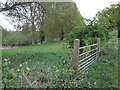 Gate and Riverside Meadow in NR8 5BG