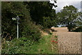 Footpath into Partney from Spilsy in Partney