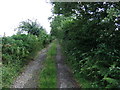 Track on Cringley Hill in Blindbothel