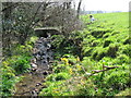 Footpath crossing the stream between St Giles in the Wood and Dodscott in St. Giles in the Wood