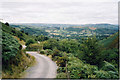 Road towards Llandinam from the south-east in SY17 5AH