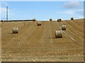 Round bales, Forter Law in EH39 5AZ