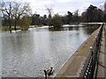 Cannon Hill Park Lake in B13 8NH