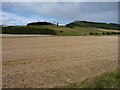 Flat field in KY14 6JS