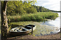 Boat at King's Myre, Taymount Wood, near Stanley in PH1 4PL