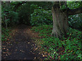 Footpath on Gravelpit Hill in RG2 9JG