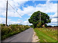 Looking northwards on Itchel Lane towards Itchel Lane Cottage in GU10 5RD