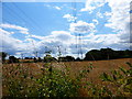 Looking south down line of pylons by Long Copse in GU10 5PT