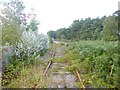 Winfrith Heath, disused railway line in DT2 8WQ