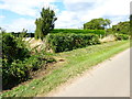 Road by Penn Croft Farm with view of pylon along field edge in GU10 5QA