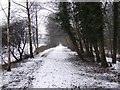 Oakamoor to Denstone Greenway in the Snow in ST10 4AX