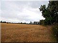 Field of Bales and Stubble near Scropton in DE65 5PN