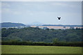 The Wrekin as seen from near Wanfield Hall in Kingstone
