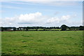A field of cows near Woodcock Heath in ST14 8QQ