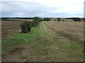 Farm track near Willow Bank Farm in PE8 5HY