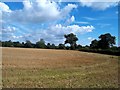 Field of Stubble near Old Myers in DE65 5AT