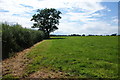 Field boundary above Loxley Green in ST14 8QG
